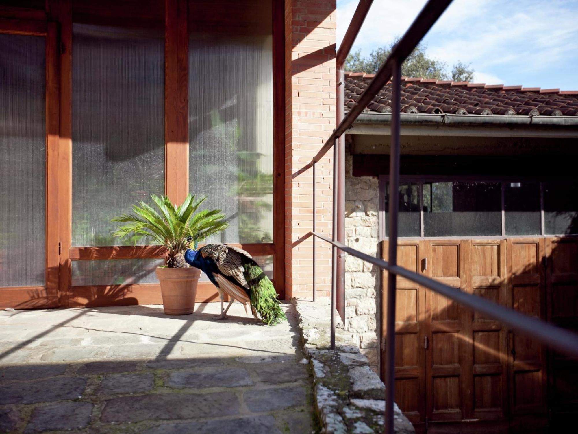 Pleasant Apartment With Swimming Pool Garden Bbq Parking Lucolena in Chianti Exterior foto